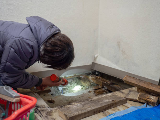 Best Attic Mold Removal  in Newcomerstown, OH