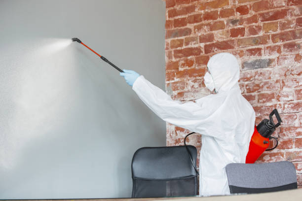 Best Emergency Mold Remediation  in Newcomerstown, OH