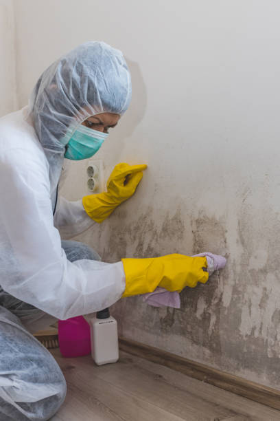 Best Indoor Air Quality Assessment  in Newcomerstown, OH