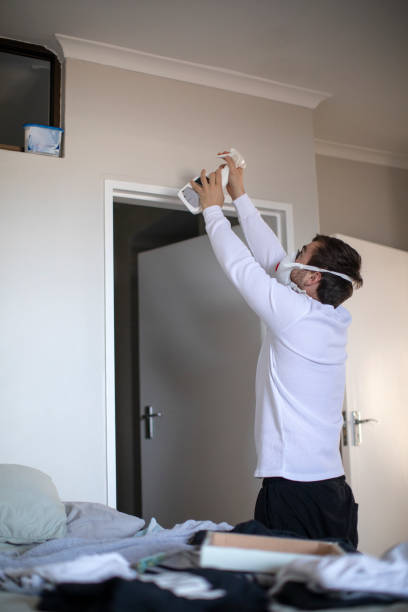 Best Mold Damage Restoration  in Newcomerstown, OH