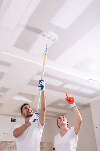Best Commercial Mold Inspection  in Newcomerstown, OH
