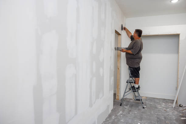 Best Basement Mold Removal  in Newcomerstown, OH