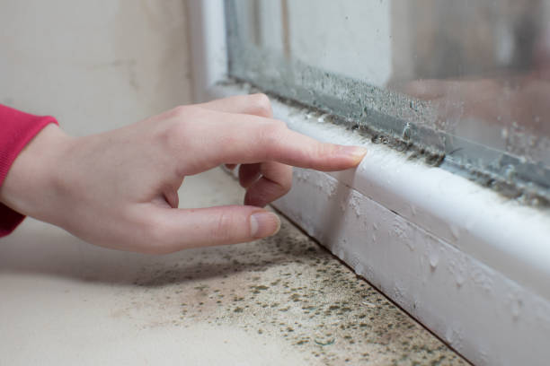 Best Indoor Air Quality Assessment  in Newcomerstown, OH