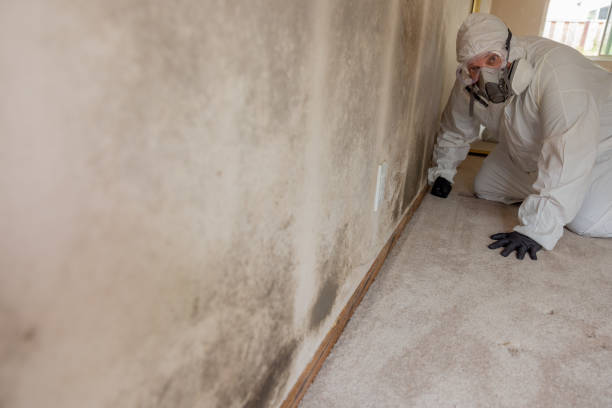Best Mold Documentation for Insurance Claims  in Newcomerstown, OH